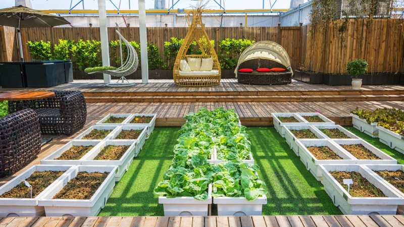 How to Design a Landscape That Is Both Practical and Visually Appealing