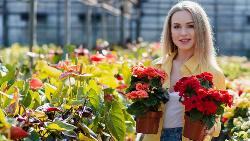 How to Create a Functional and Attractive Landscape Maintenance Checklist